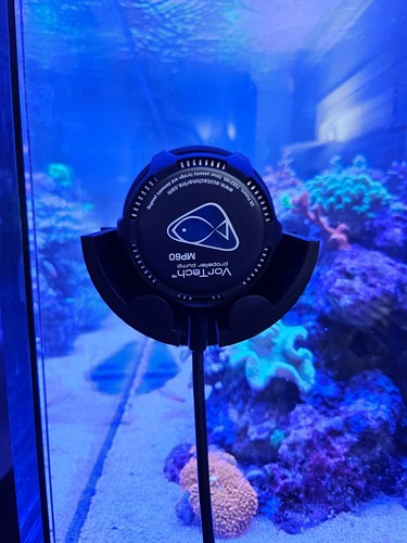 Ecotech marine vortech - vortech, mp60